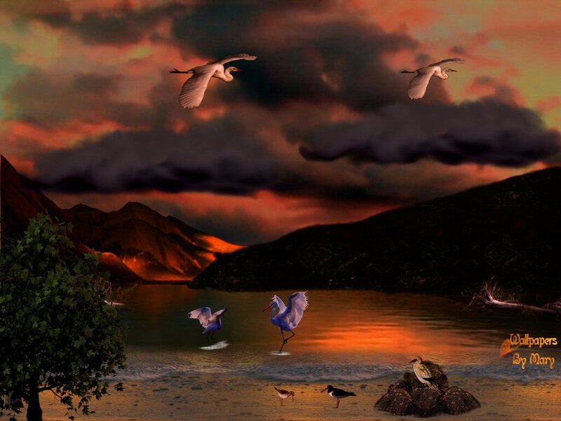 Egrets Flying over Lake