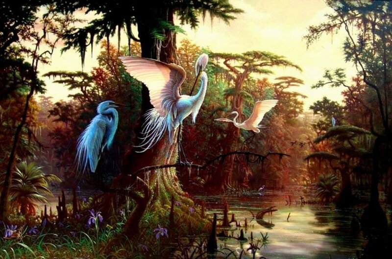 Egrets in Swamp