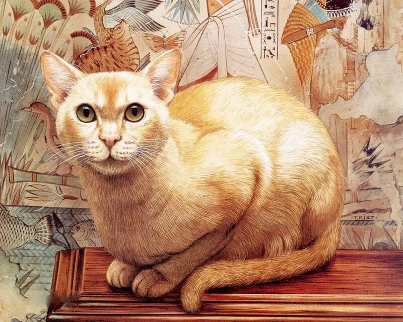 Egyptian cat on a pedestal