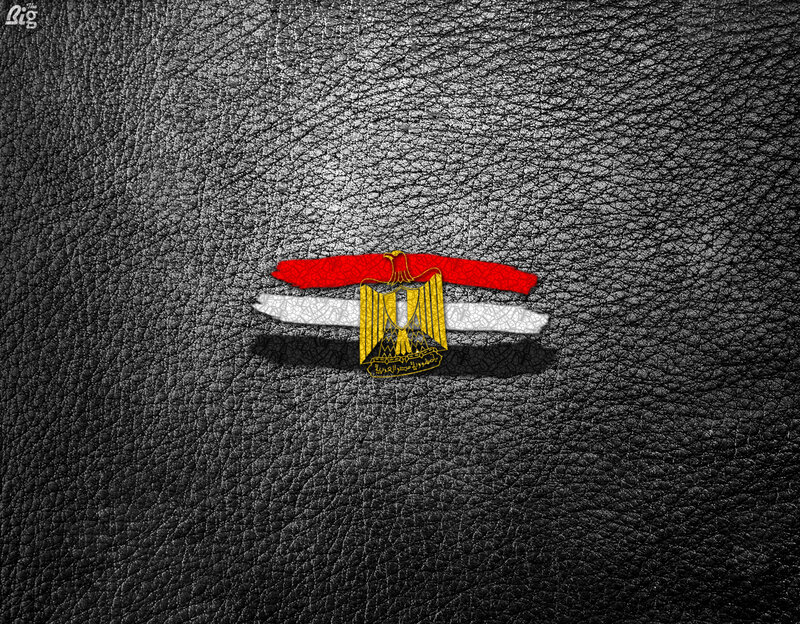 Egyptian Flag on Leather