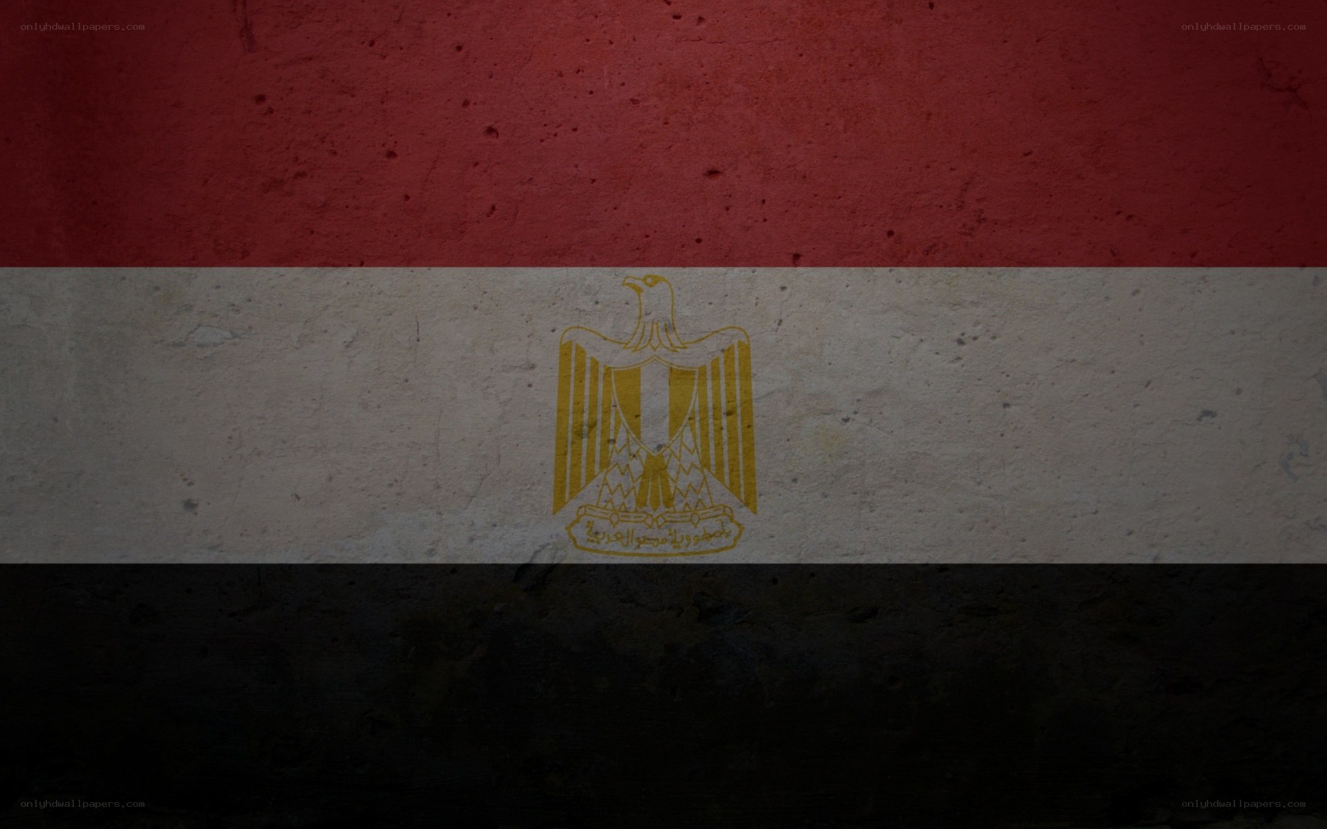 Egyptian flag on textured wall