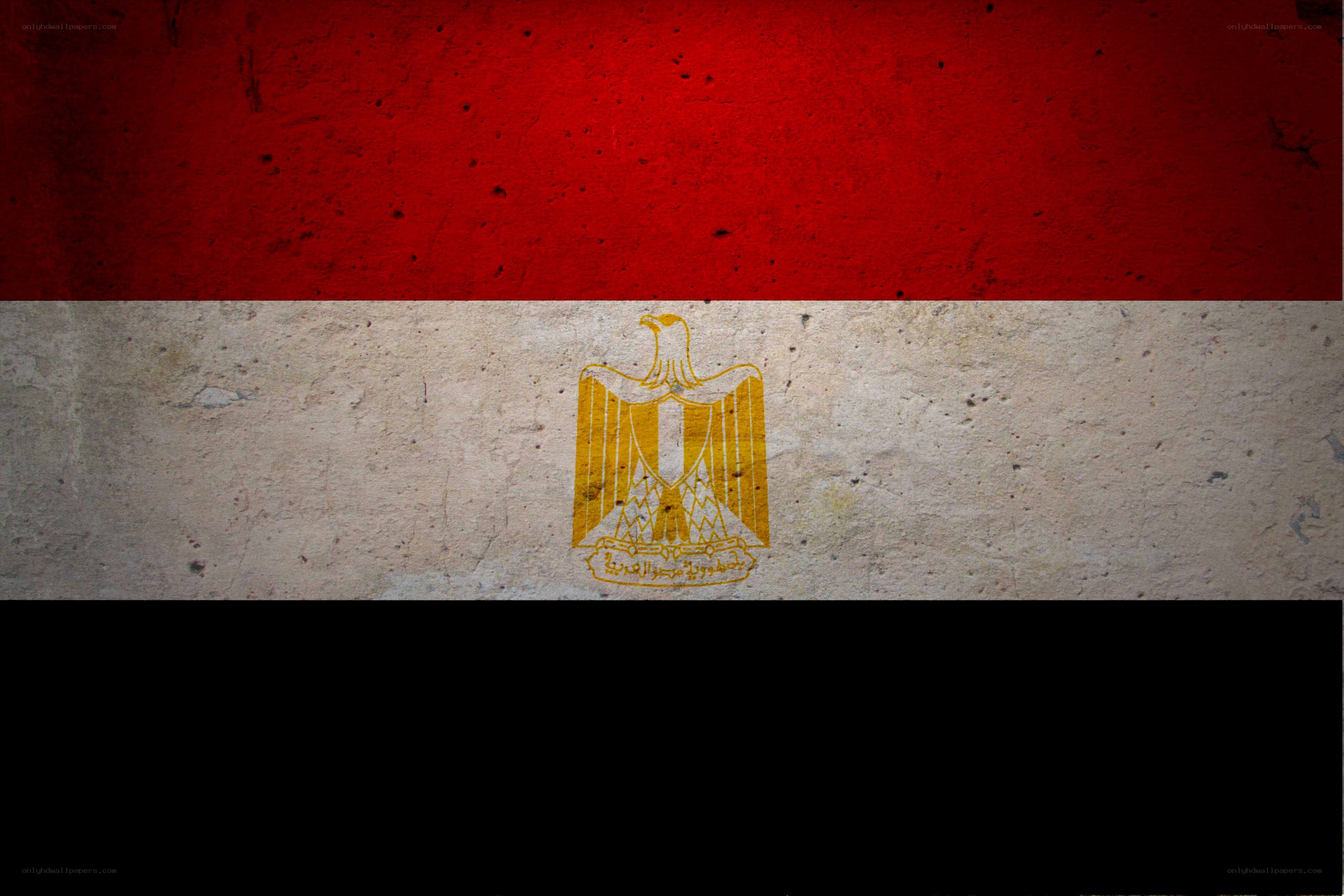 Egyptian flag on textured wall