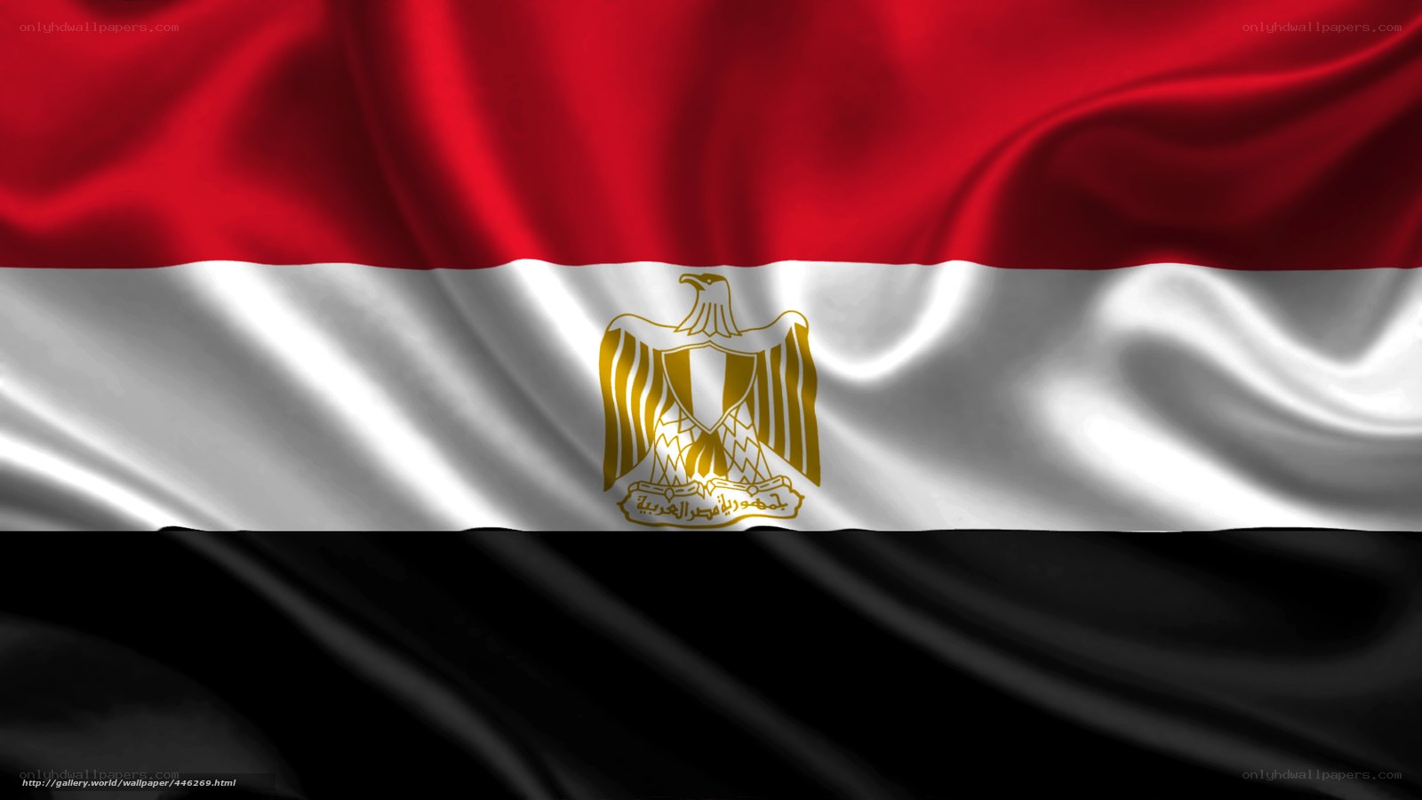 Egyptian flag waving