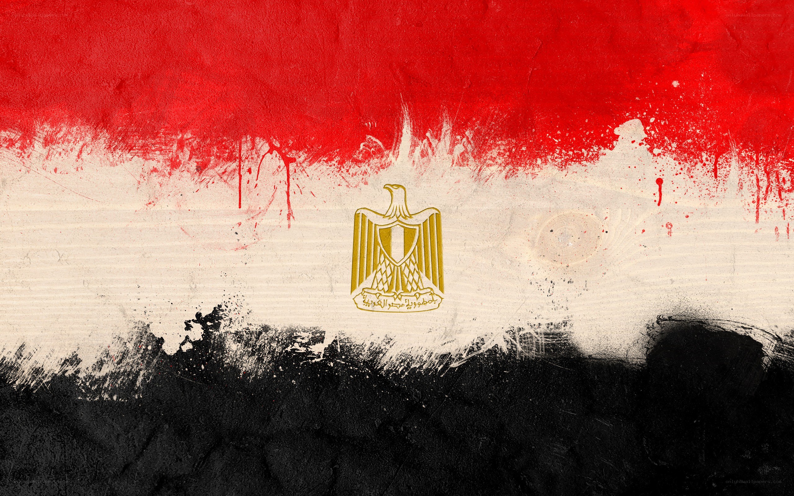 Egyptian flag with artistic texture