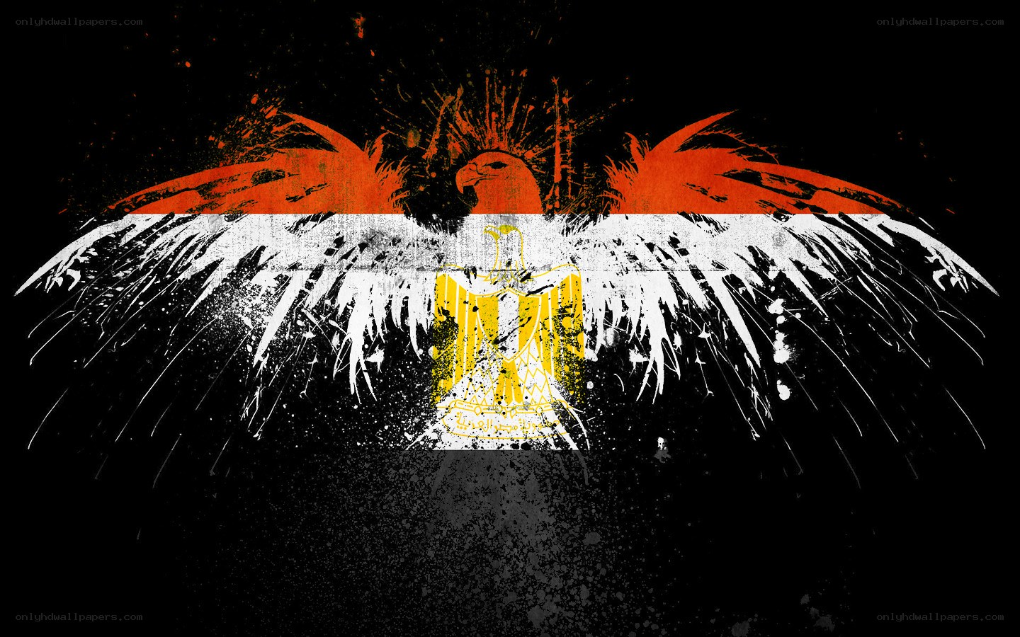 Egyptian flag with eagle design