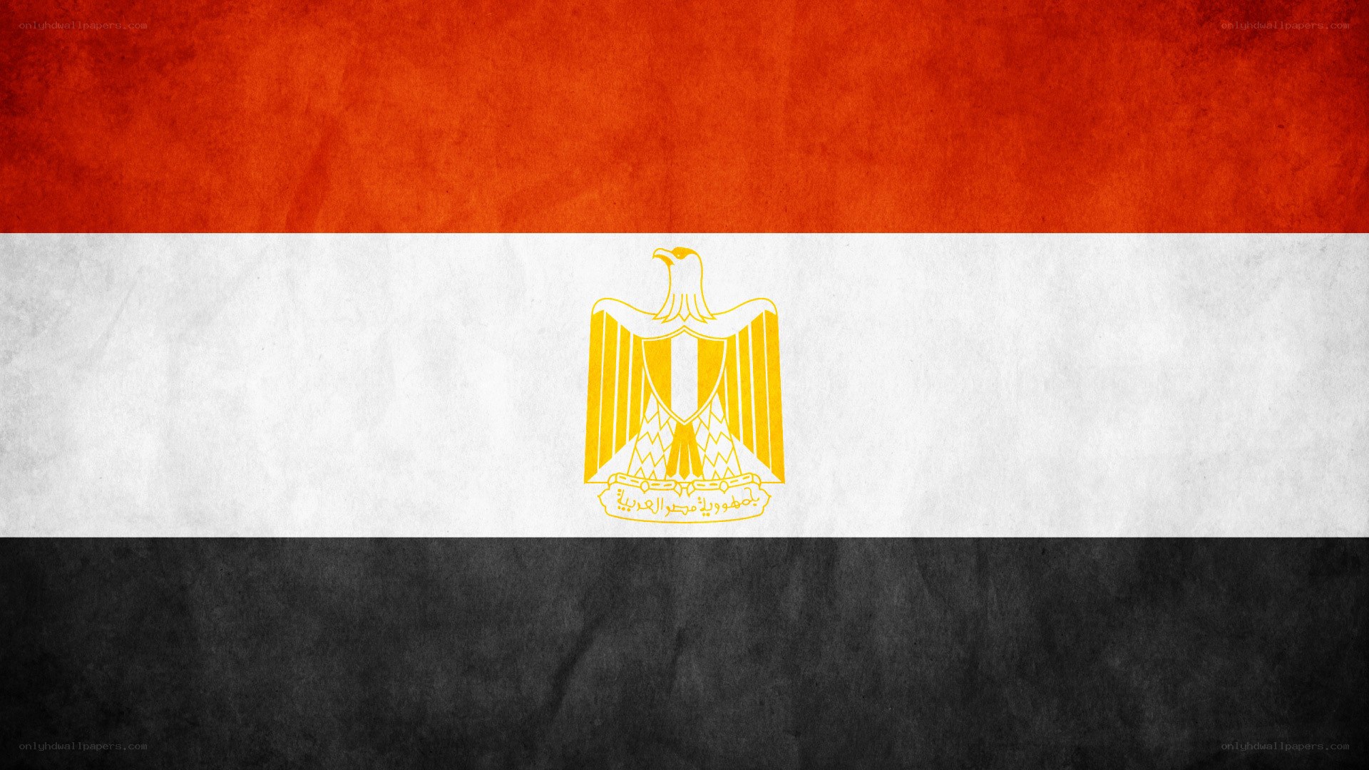 Egyptian flag with textured design