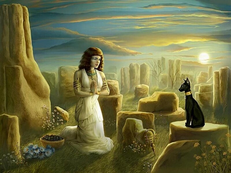 Egyptian woman praying with cat