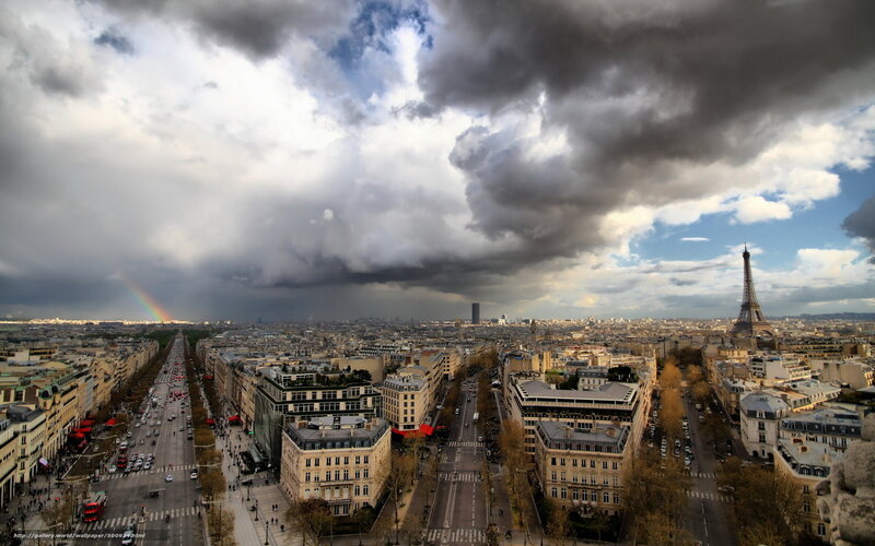Eiffel Tower and Paris — Gray