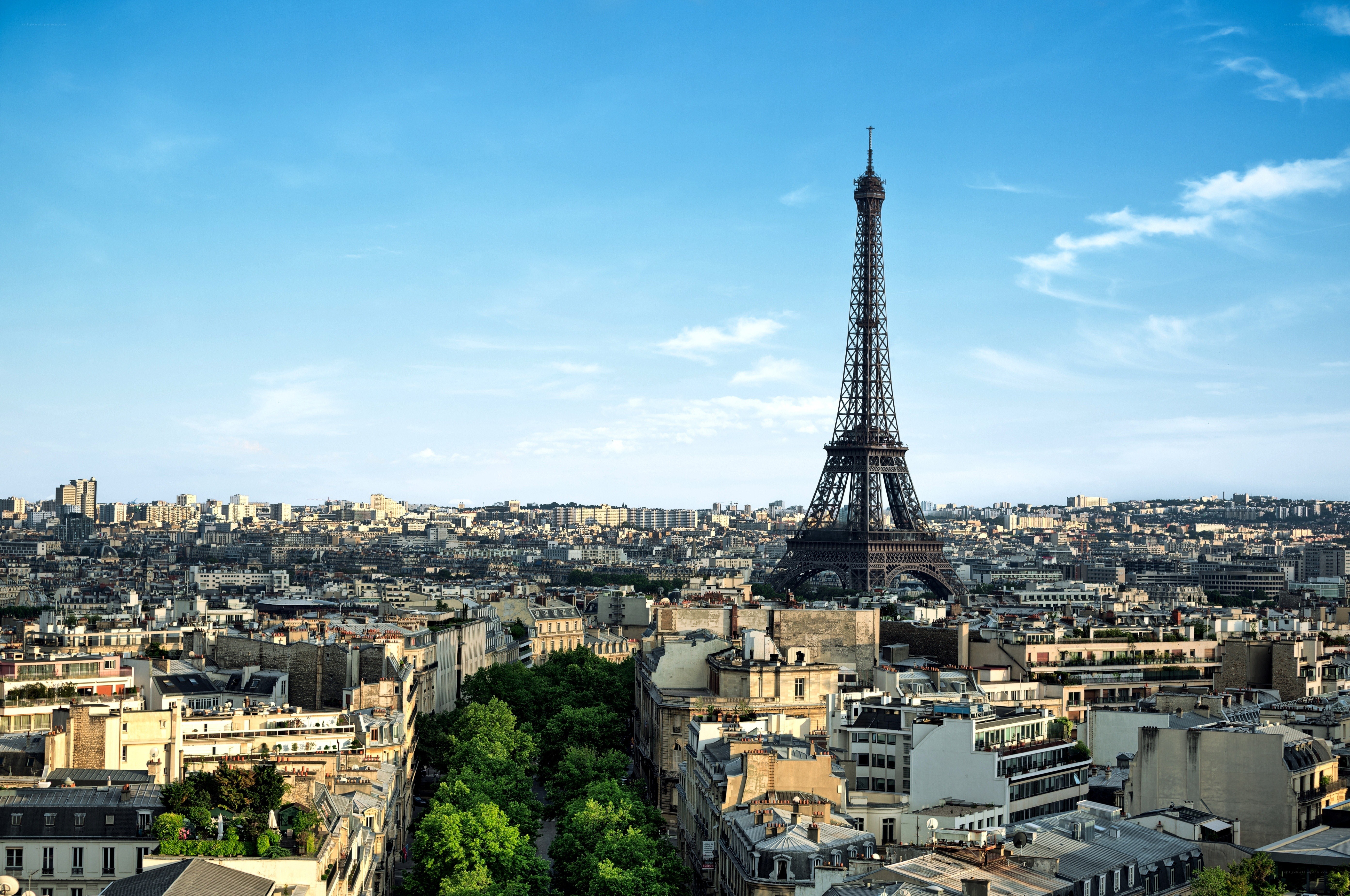 Eiffel Tower and Paris skyline