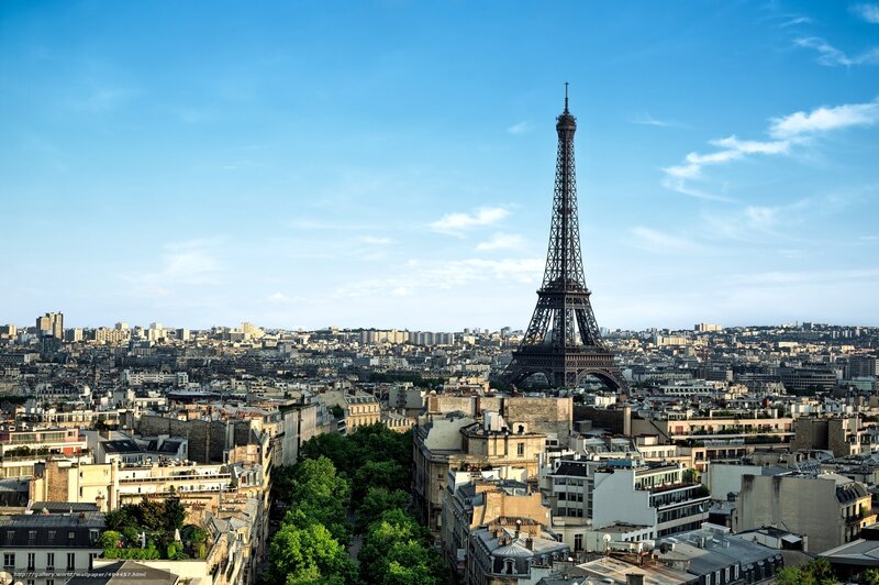 Eiffel Tower and Paris skyline