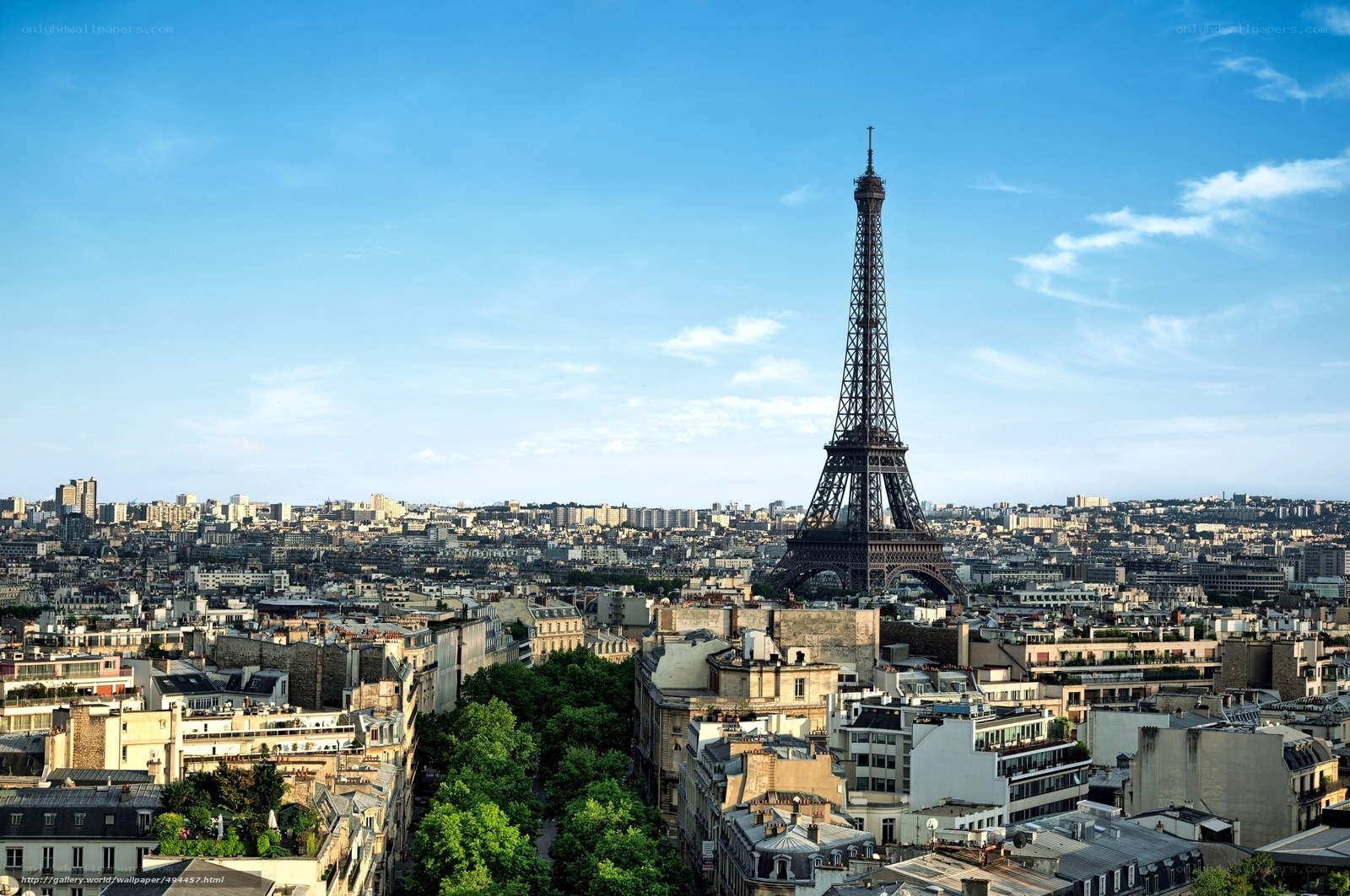 Eiffel Tower and Paris skyline
