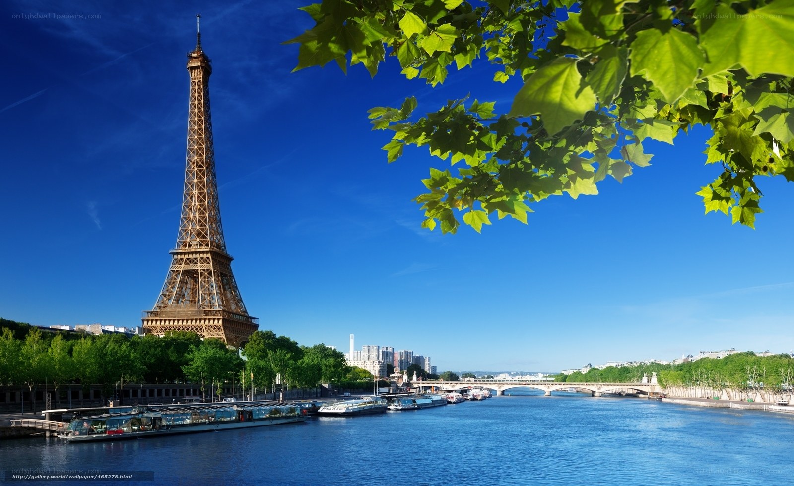 Eiffel Tower and Seine River
