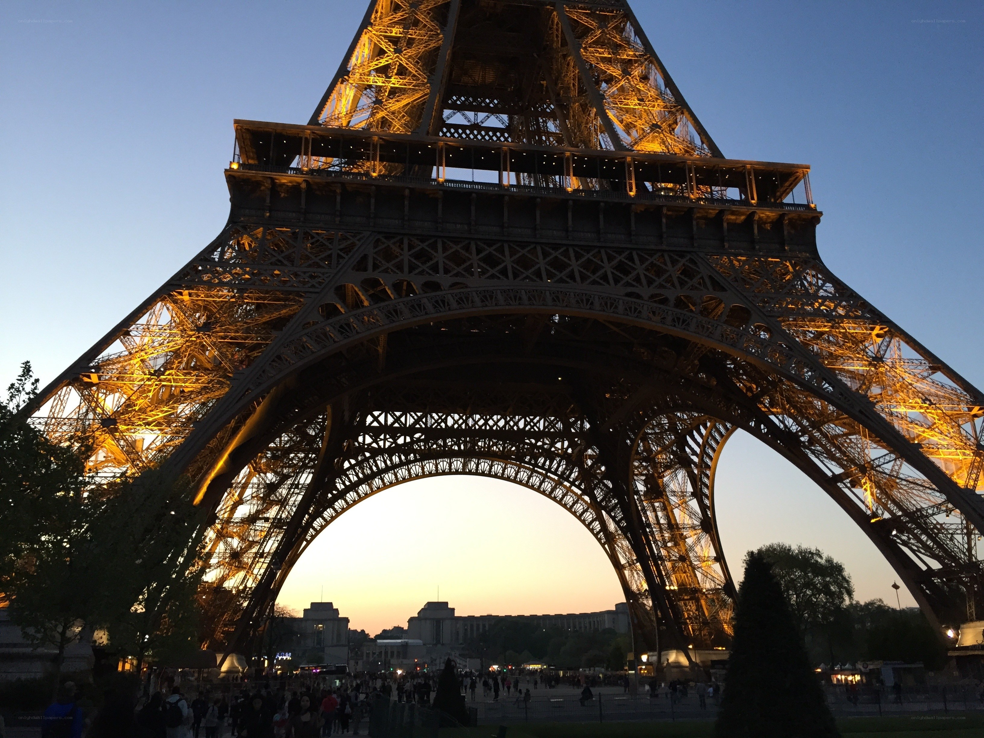 Eiffel Tower at dusk