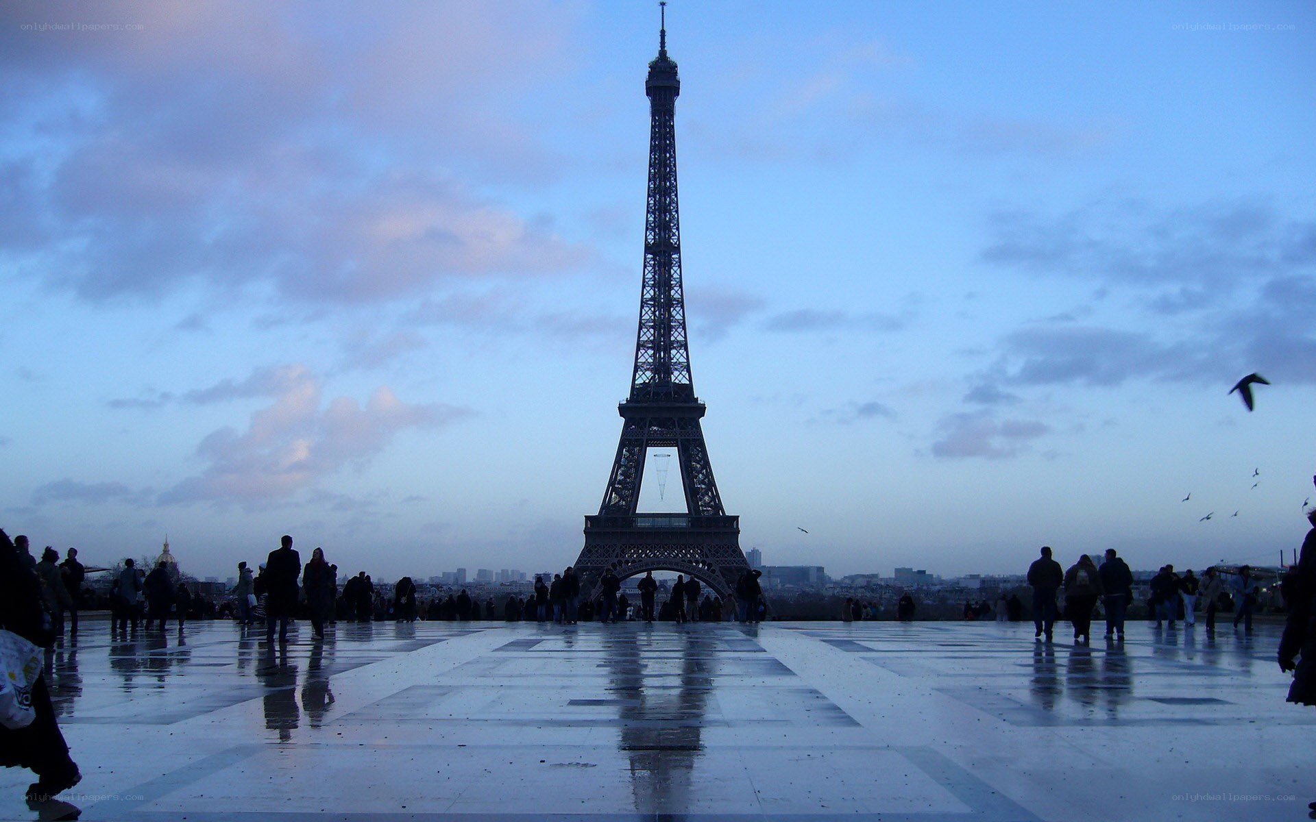 Eiffel Tower at dusk
