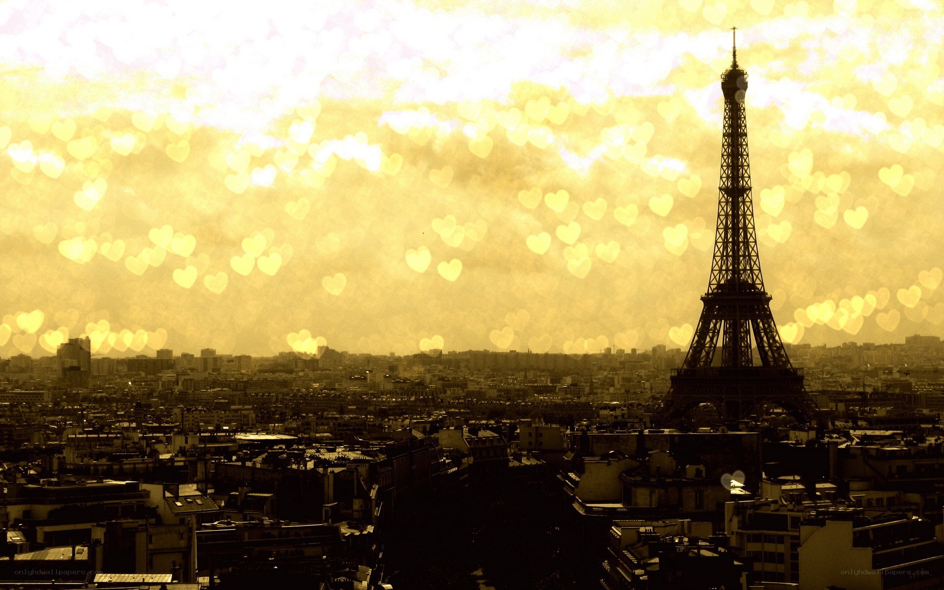 Eiffel Tower at golden hour