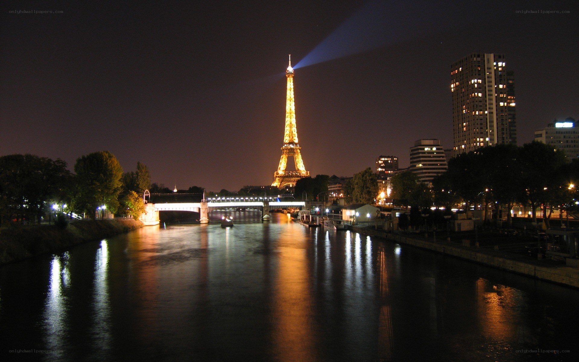Eiffel Tower at night