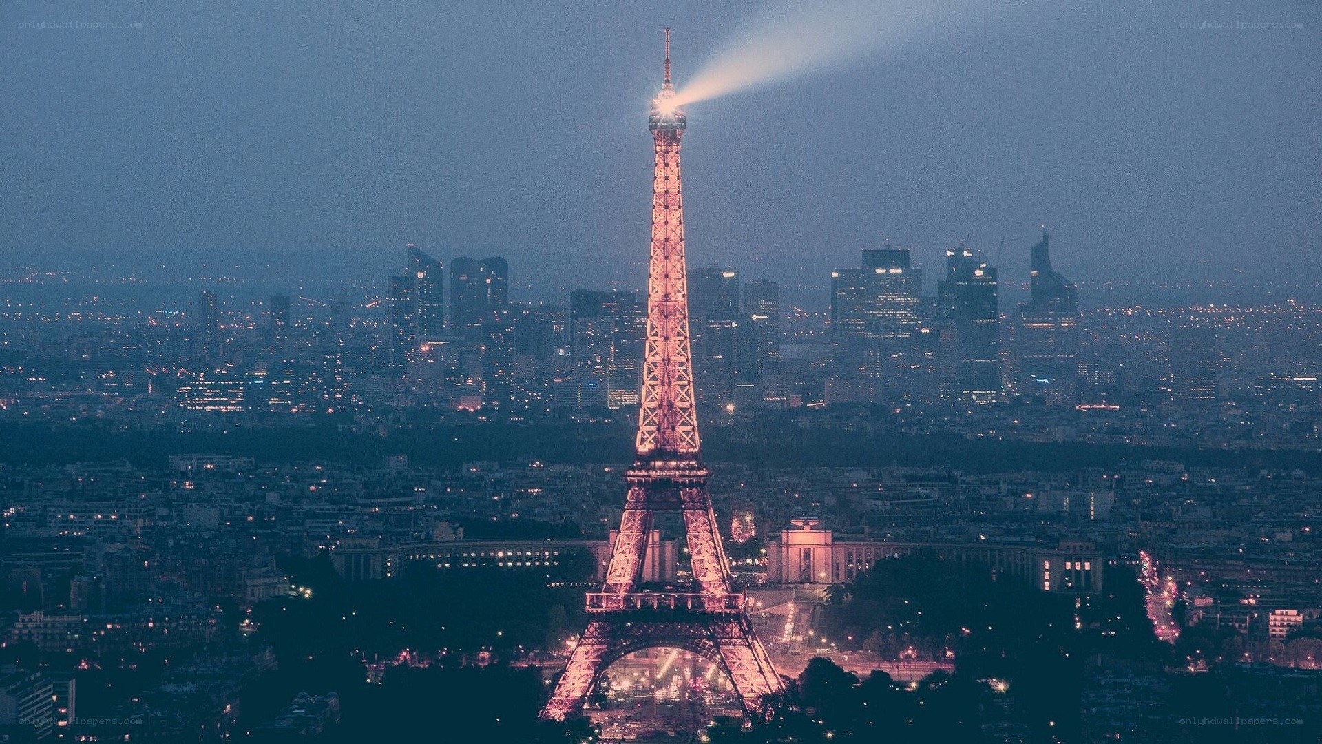 Eiffel Tower at night