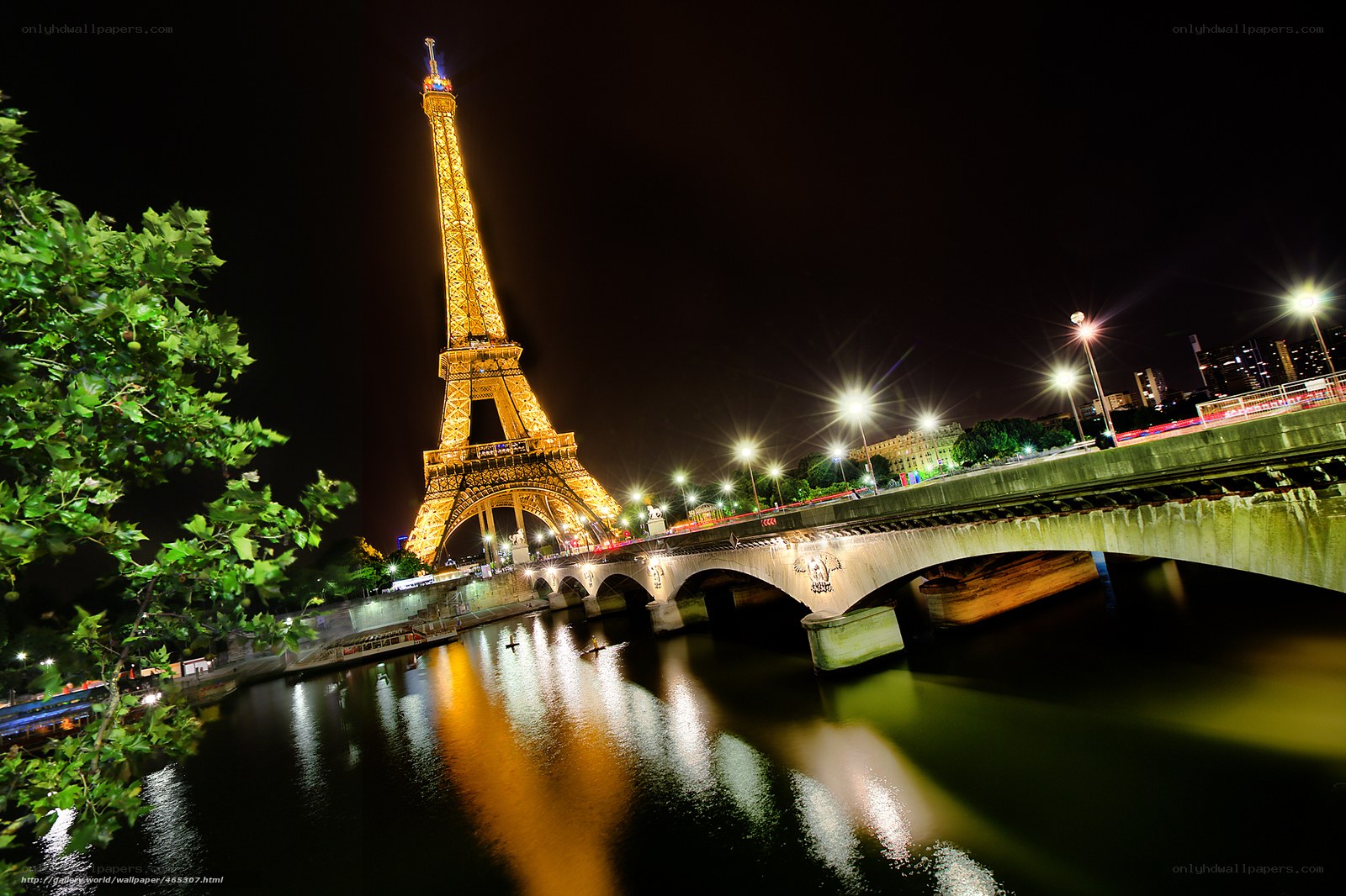 Eiffel Tower at night