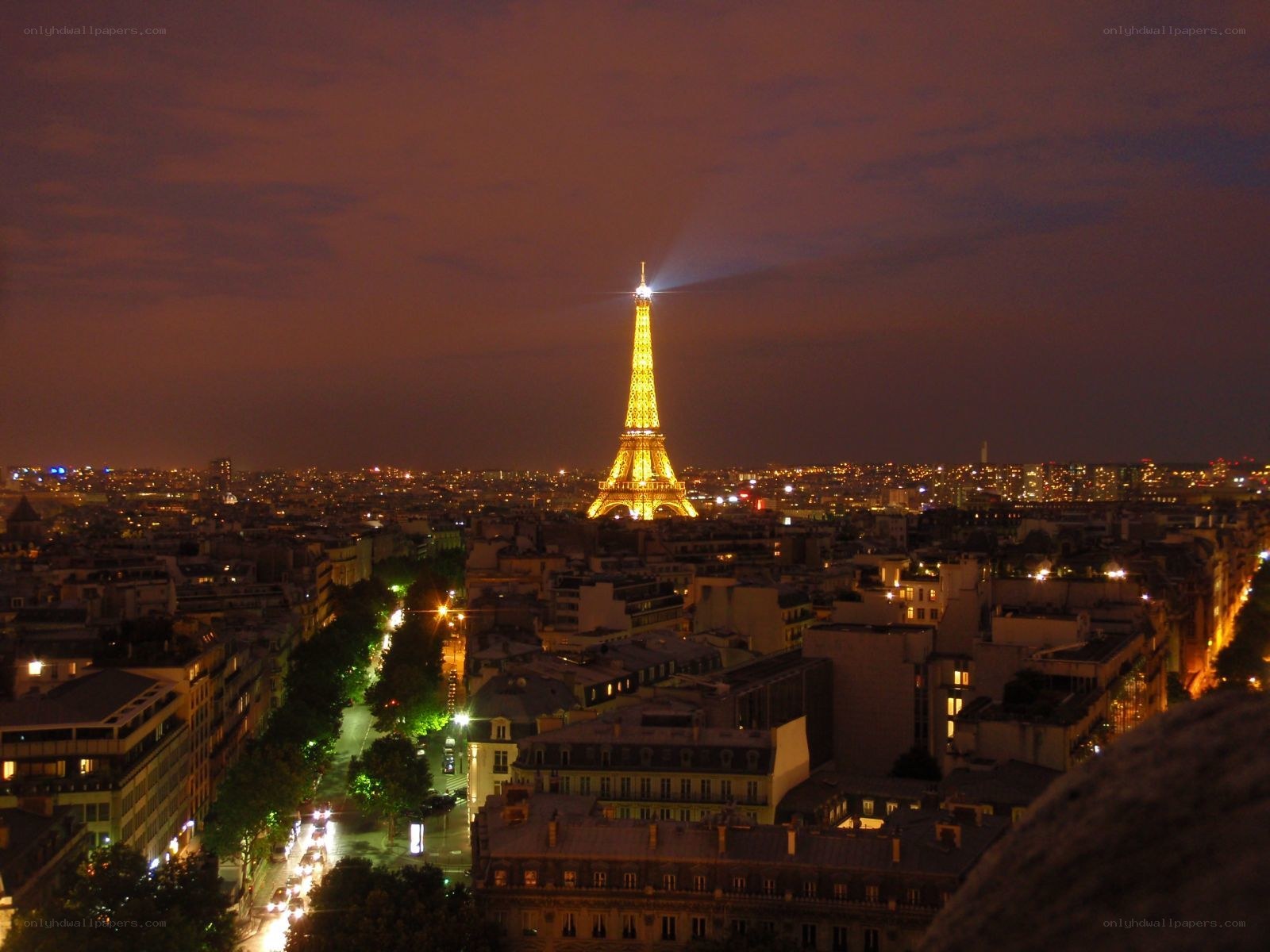 Eiffel Tower at night