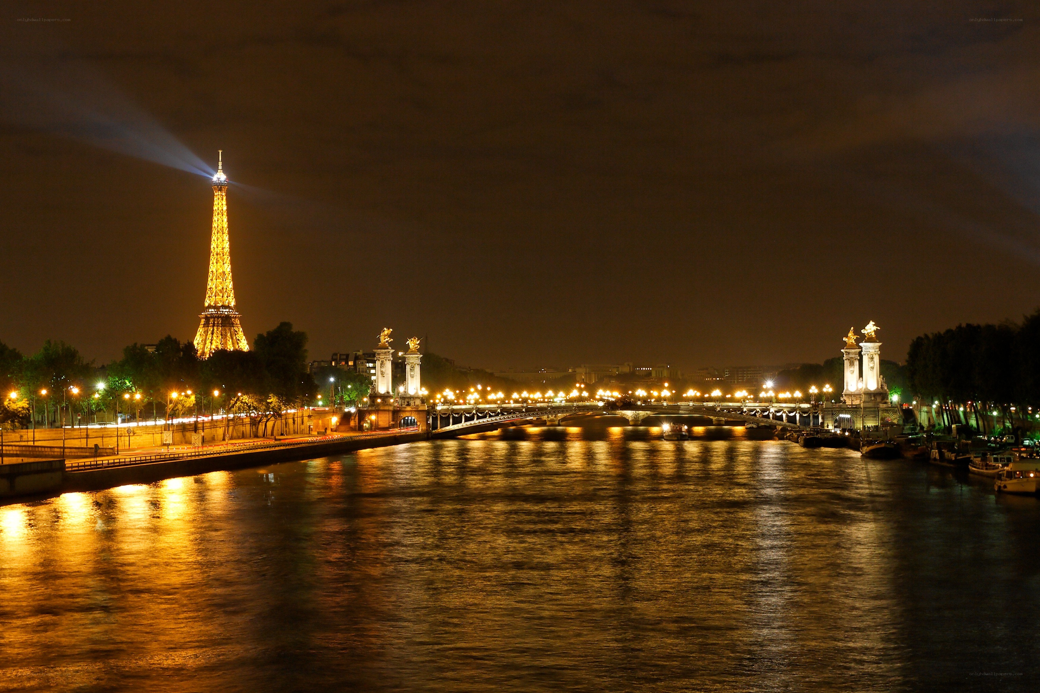 Eiffel Tower at night