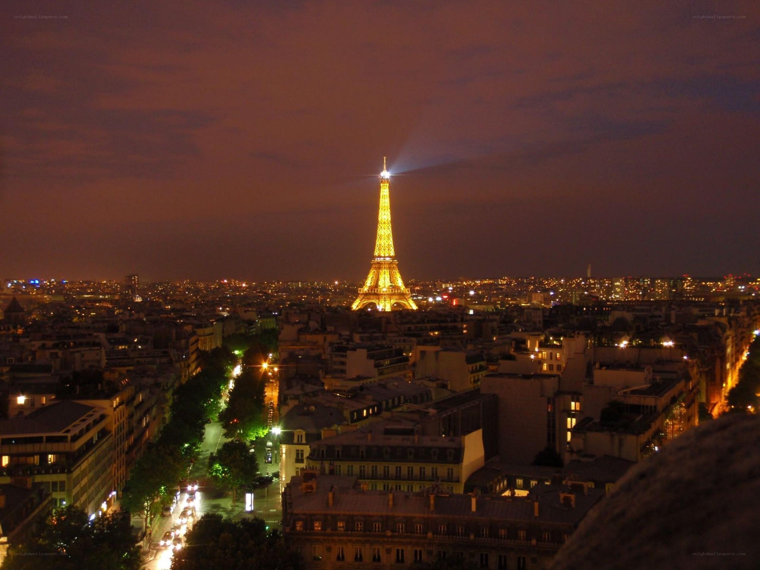 Eiffel Tower at night