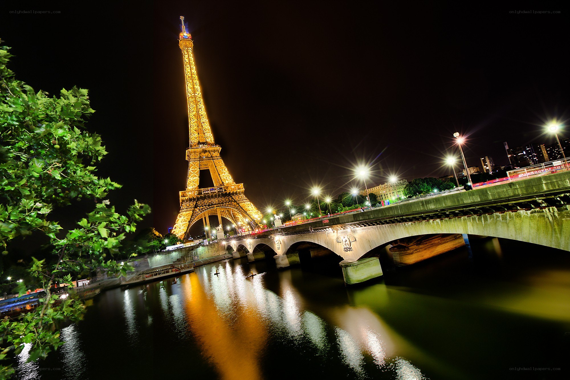Eiffel Tower at night