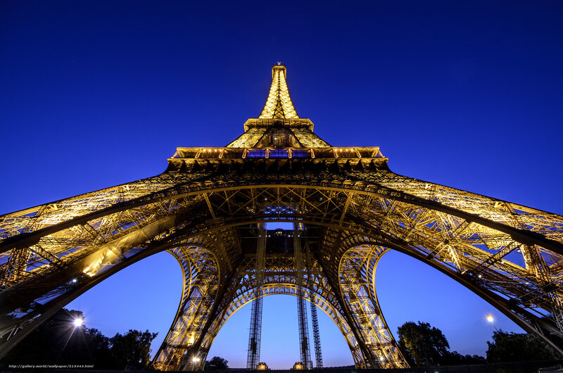 Eiffel Tower at Night — Blue, Dramatic, Photograph, Sky, Trees, Lights