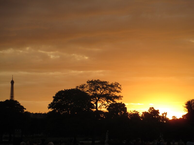 Eiffel Tower at Sunset — Orange, Dramatic, Photograph, Trees