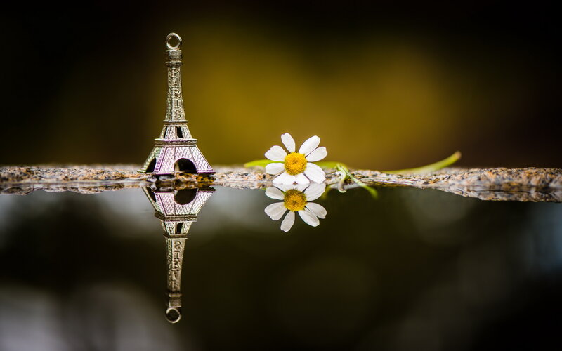 Eiffel Tower Charm and Flower — White