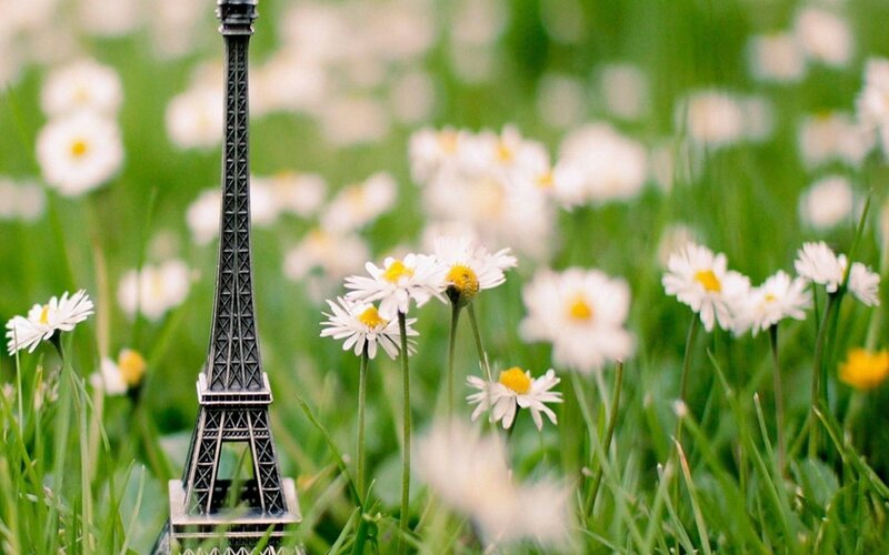 Eiffel Tower in a field of daisies