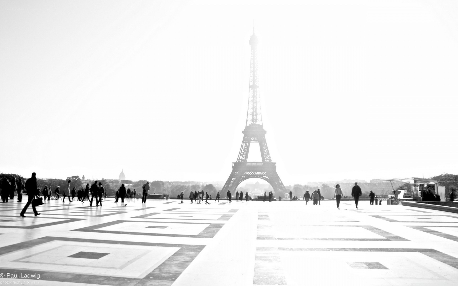Eiffel Tower in black and white