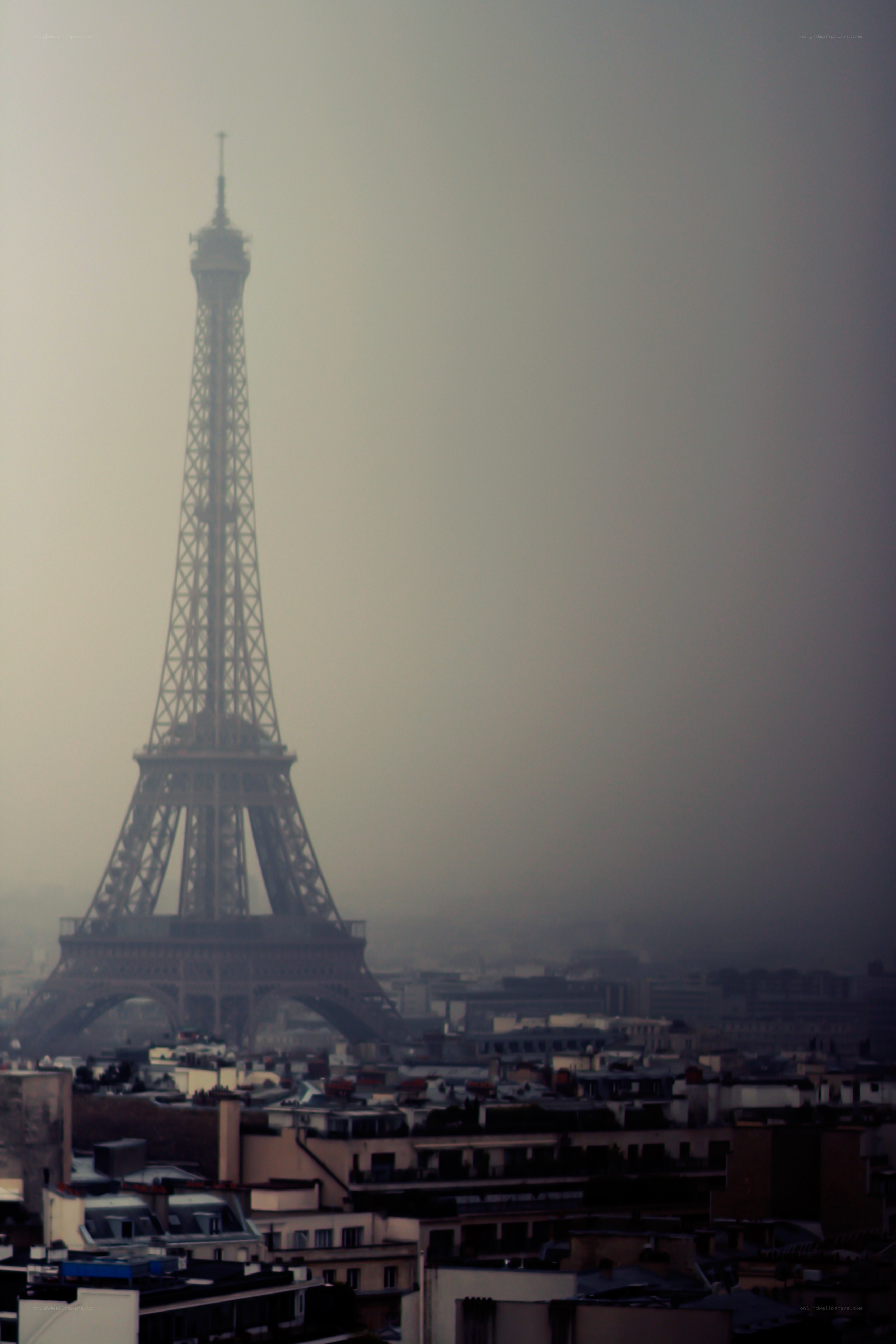 Eiffel Tower in fog