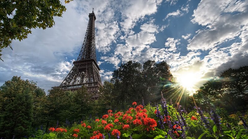 Eiffel Tower in Garden — Blue, Dramatic, Sunset, Photograph, Flowers