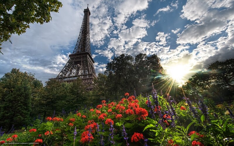 Eiffel Tower in Garden — Red, Dramatic, Afternoon