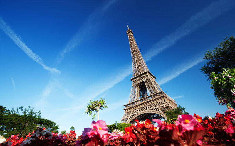 Eiffel Tower in Paris — Blue, Serene, Afternoon, Photograph, Flowers