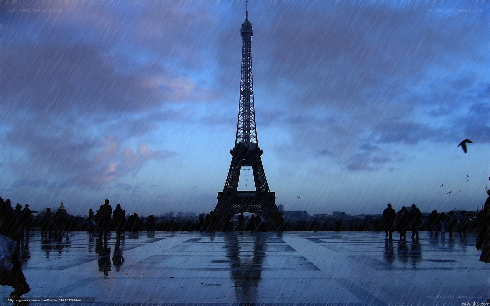 Eiffel Tower in the rain