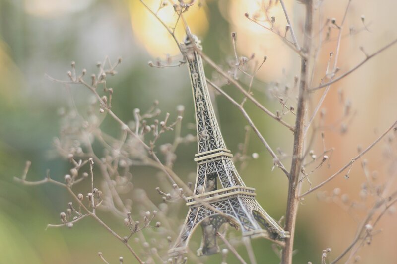 Eiffel Tower Model — Brown, Serene
