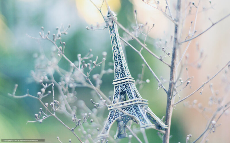 Eiffel Tower Model — Green, Serene, Photograph