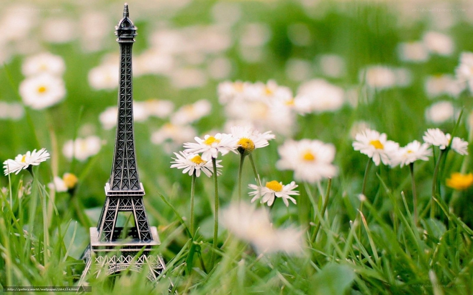 Eiffel Tower model in a field