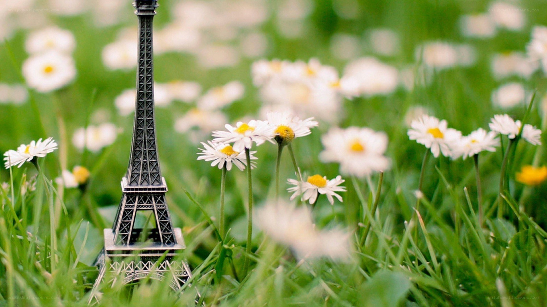 Eiffel Tower model in a field