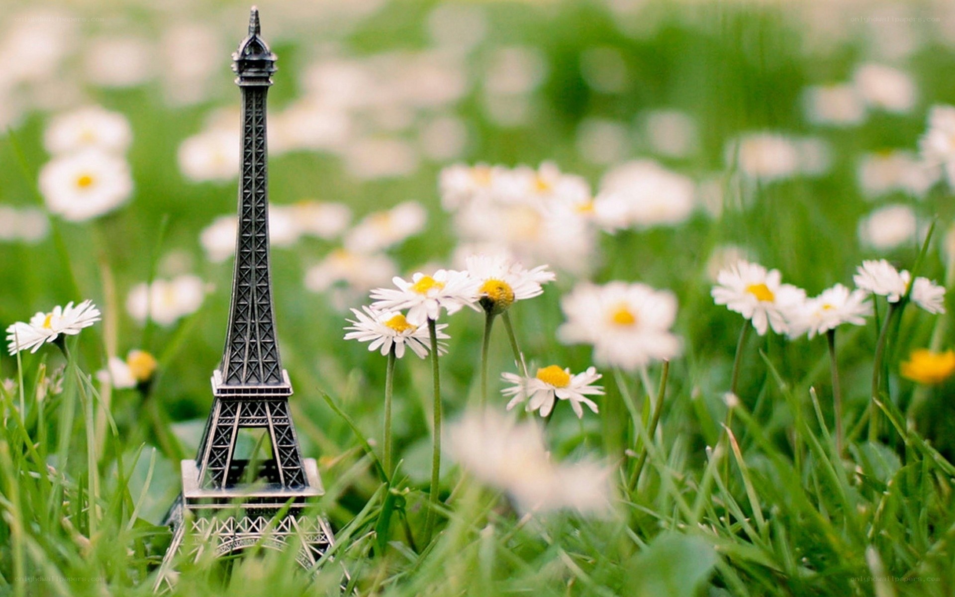 Eiffel Tower model in a field