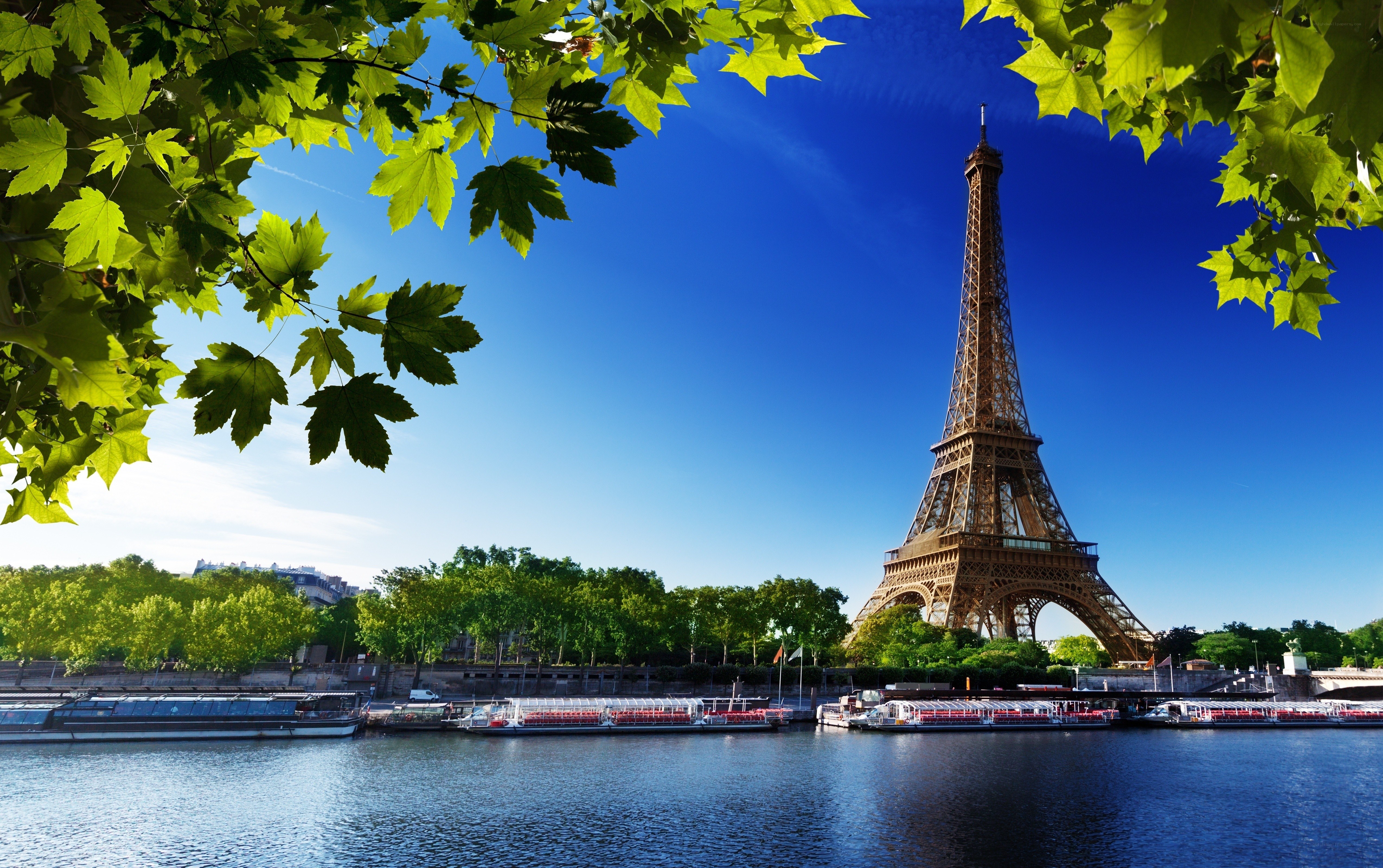 Eiffel Tower on a sunny day
