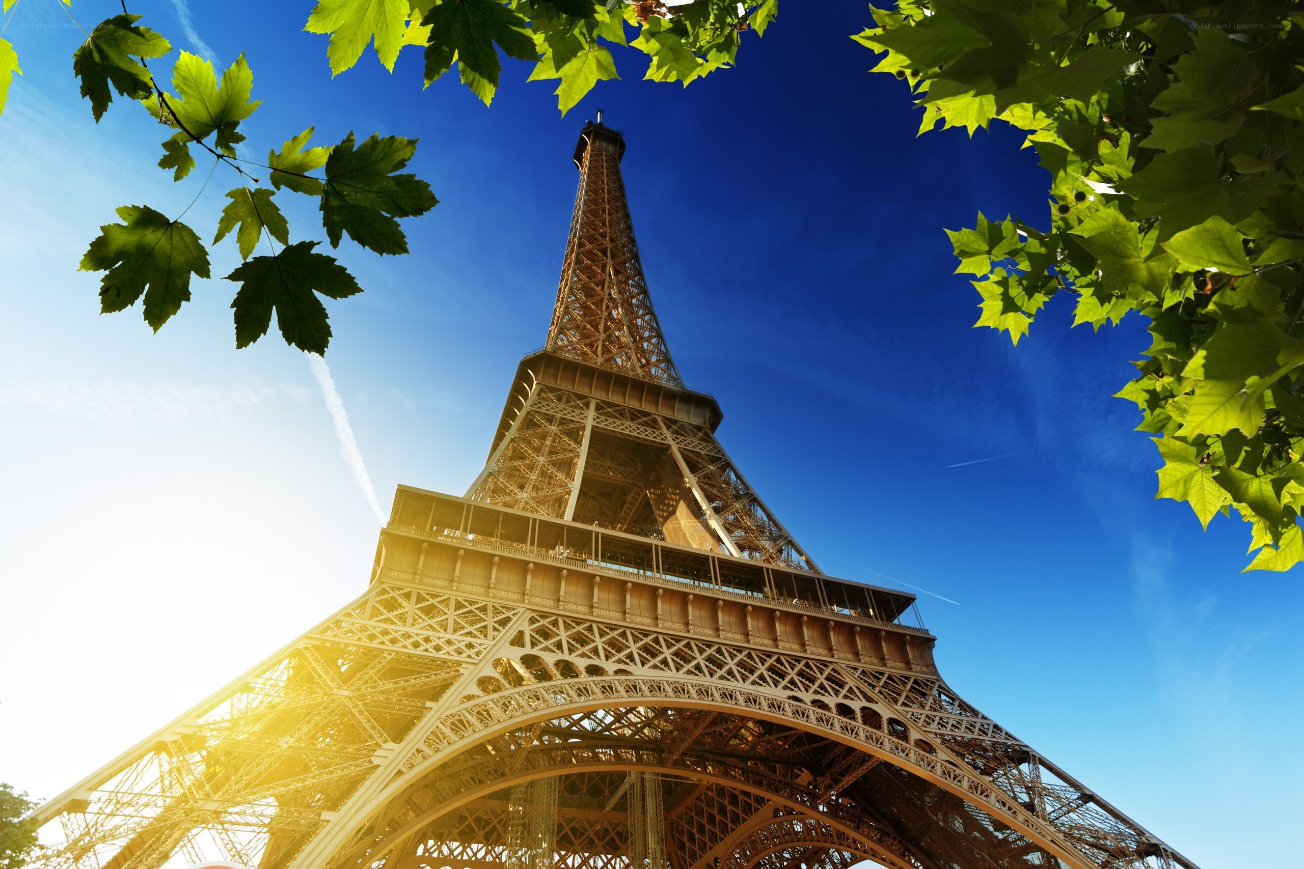Eiffel Tower on a sunny day