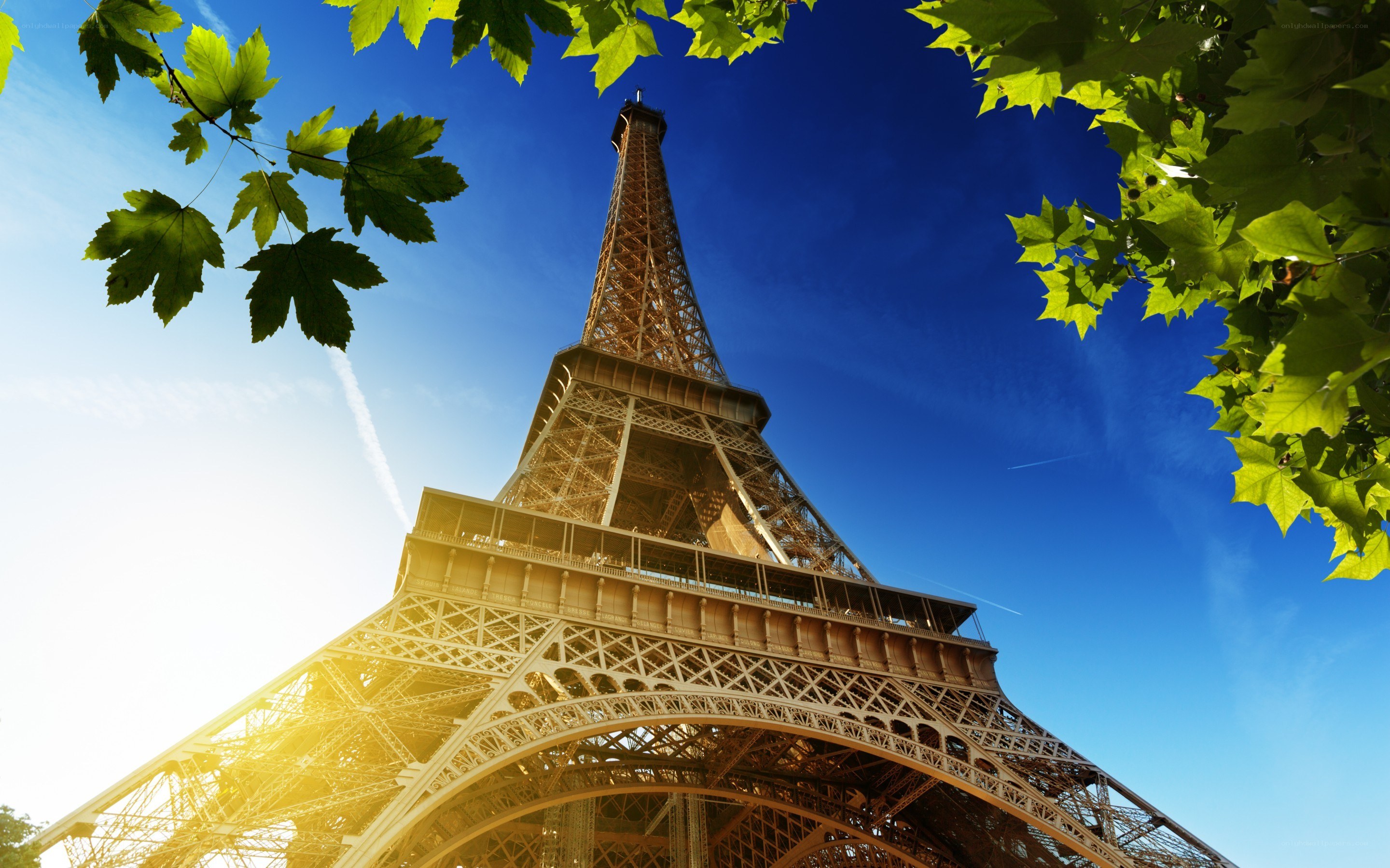 Eiffel Tower on a sunny day