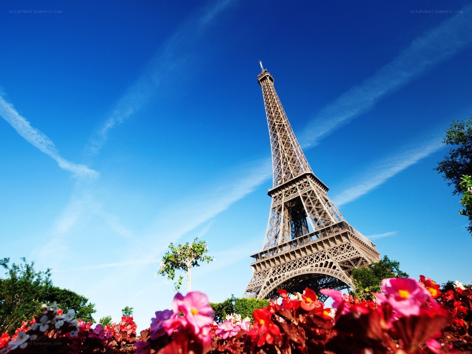 Eiffel Tower on a sunny day