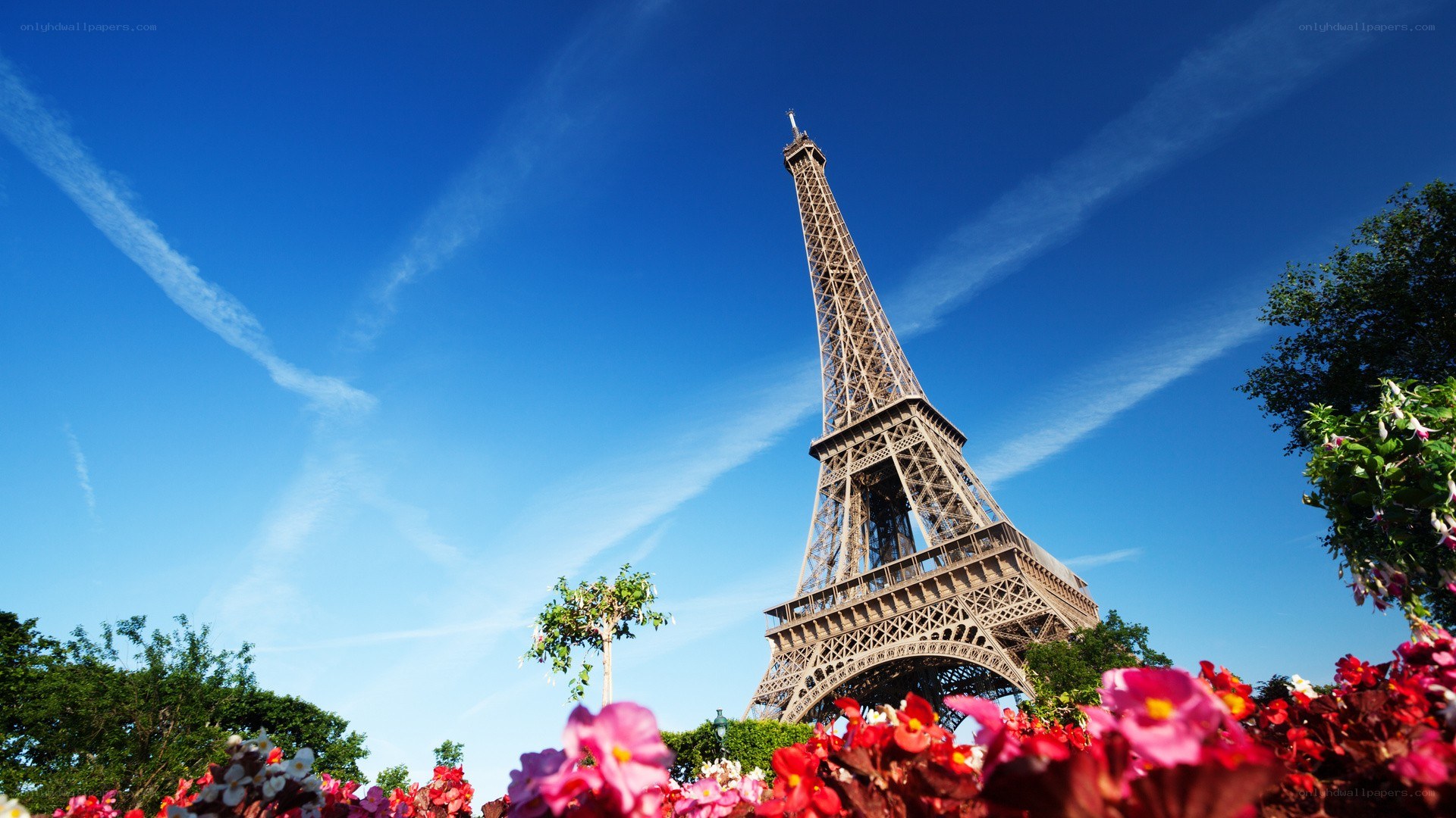 Eiffel Tower on a sunny day