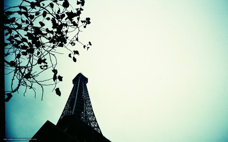 Eiffel Tower silhouette