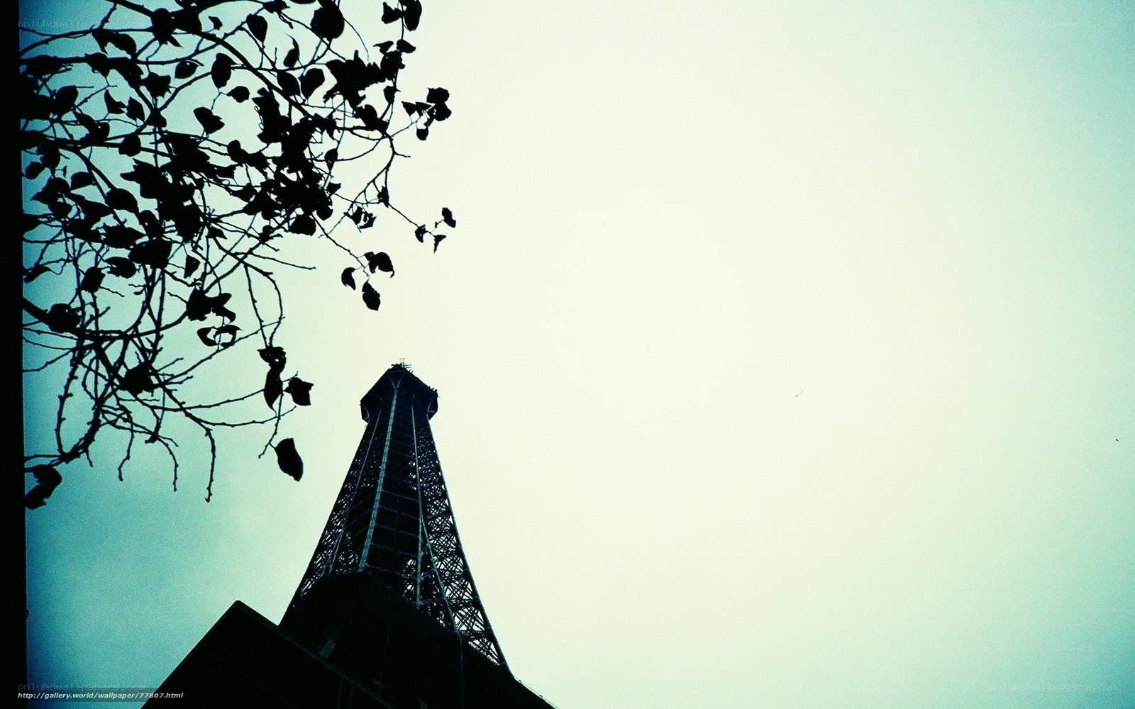 Eiffel Tower silhouette
