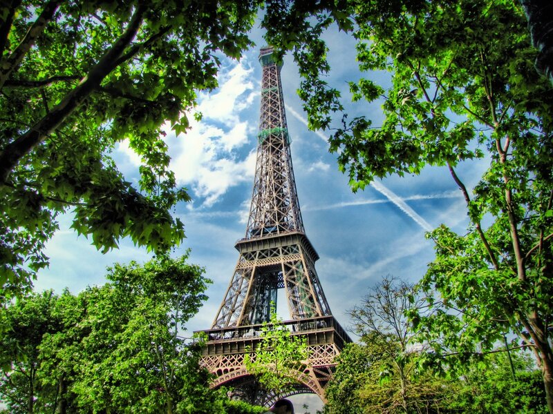 Eiffel Tower Through Trees — Green