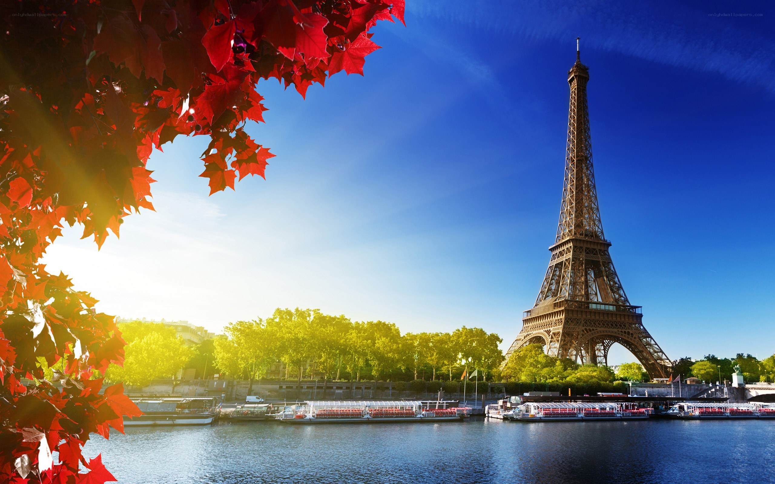 Eiffel Tower with autumn leaves